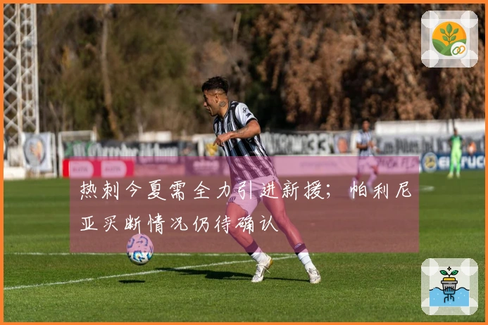 热刺今夏需全力引进新援；帕利尼亚买断情况仍待确认